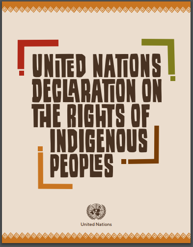UNDRIP: THE UNITED NATIONS DECLARATION ON THE RIGHTS OF INDIGENOUS PEOPLES (PART 1 OF 3) – Andrew's Views